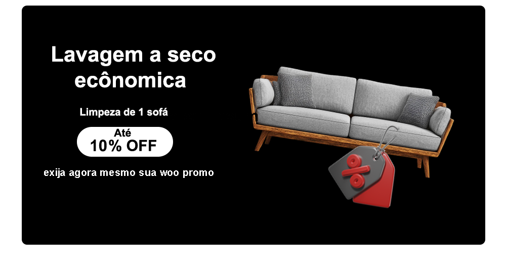 lavagem a seco economica 1