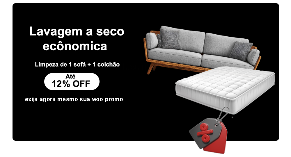 lavagem a seco economica 2